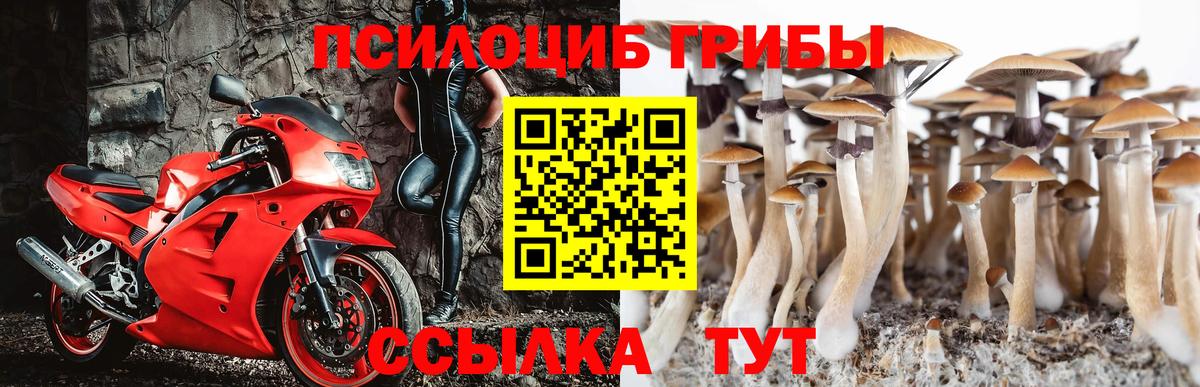 наркошоп  Вход с VPN  Зеленокумск  Псилоцибиновые грибы прущие грибы 